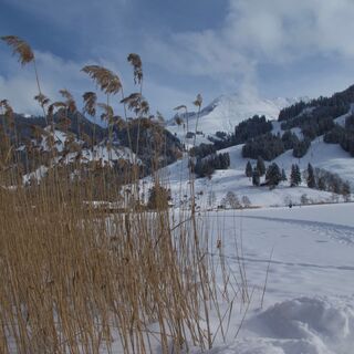nach Gypsera-Winterwanderung Seerundgang Schwarzsee