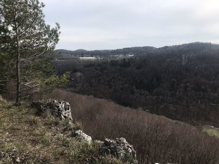 Zemljevid