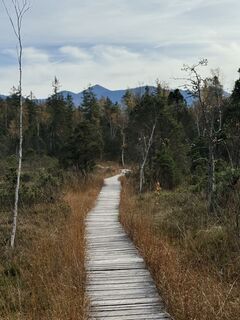Foto von Denise Miller entlang der Tour