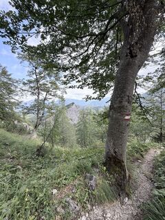 Foto von Jürgen Abenteuer entlang der Tour