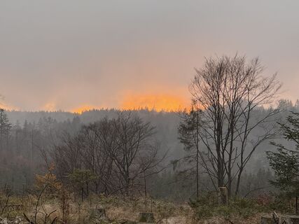 Fotografie de la Norbert Herbig de-a lungul turului