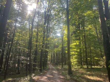 Foto von Iwona Sakowicz entlang der Tour