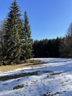 Foto von Ines Hering entlang der Tour