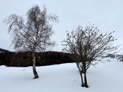 Foto fra Svensonalpin undervejs på turen