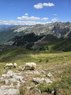 Foto von Veljko4 entlang der Tour