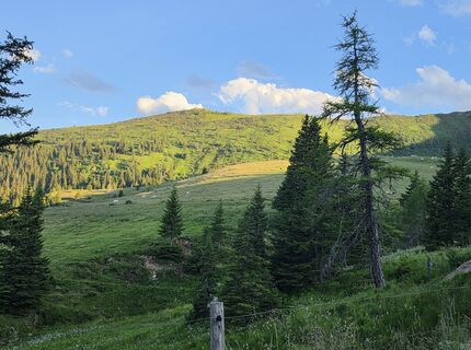 Fotografija s spletne strani MRDL na poti