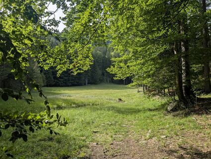 Fotografija s spletne strani mounttwosisters na poti