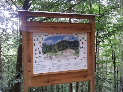 infotafel-steinbruch-naturpfad-eulenweg