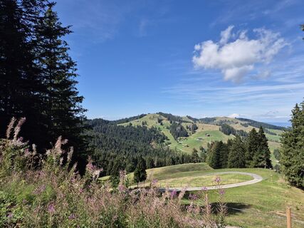 Fotografija s spletne strani alinradu na poti