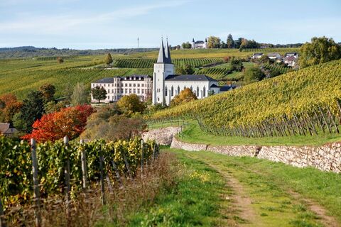 Blick auf Hotel Kloster Johannisberg