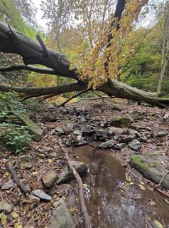 Fotografia z János Zsolt Mahr na trase