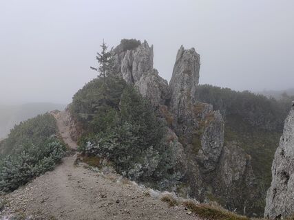 Foto von Monika Mezővári entlang der Tour