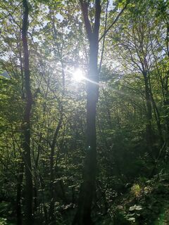 Zdjęcie z Zai mora wzdłuż trasy