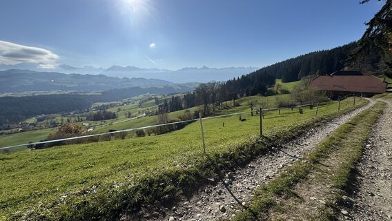 Fotografia z peter_oe na trase