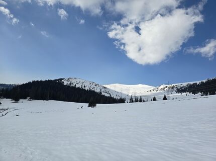 Photo de MRDL le long du parcours