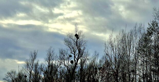 Photo de Bob Moh le long du parcours