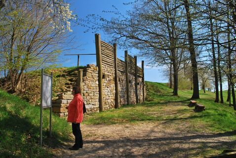 Keltenwall Creglingen- Pfostenschlitzmauer