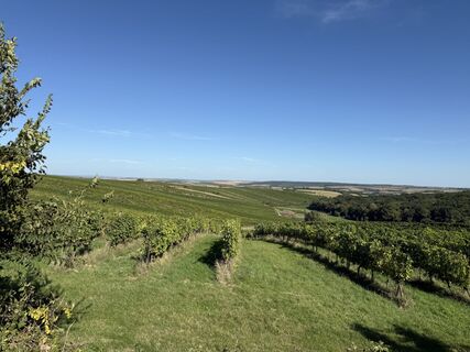 Fotografija s spletne strani Barbara Schober na poti