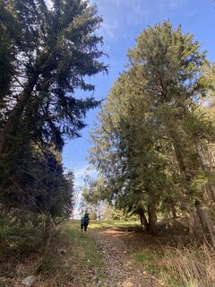 Foto van Giovanna Gheza langs de tour