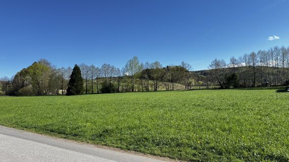Foto da Manfred Karl lungo il tour