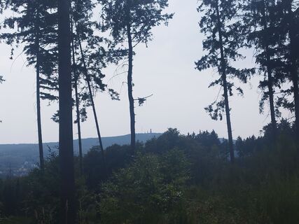 Foto von ElDuderino Dude entlang der Tour