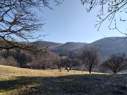 Fotografija s spletne strani Poschacher na poti