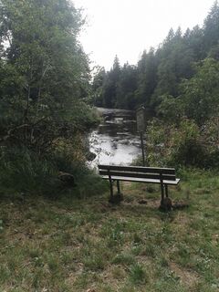 Fotografie z Waldläufer na trase