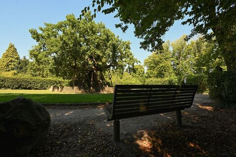 Parkbank an der Femeiche