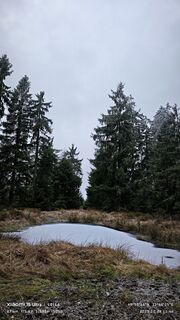 Fotografija s spletne strani damilaja242 na poti