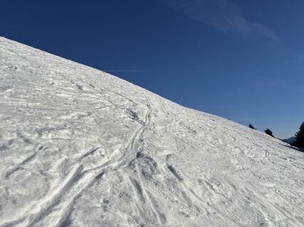 Sankt Koloman_Trattberg