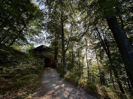 Fotografija s spletne strani Leo Fahrngruber na poti