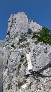 Wandertour Höllengebirge - Feuerkogel - Ebensee