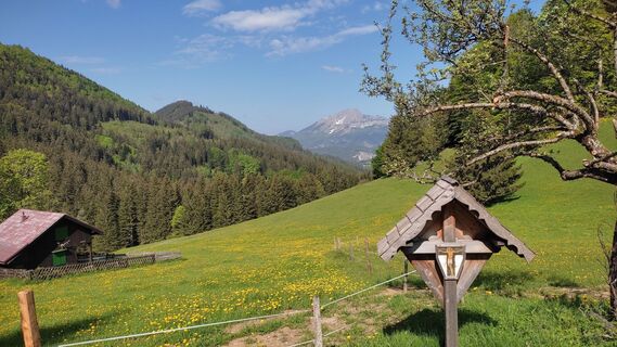 Foto von WilliSt entlang der Tour