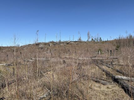 Foto von Steffen Kiesel entlang der Tour