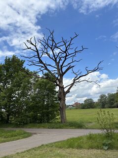 Foto von Andreas Hotze entlang der Tour