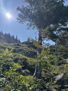 Photo de Wolfram77 le long du parcours