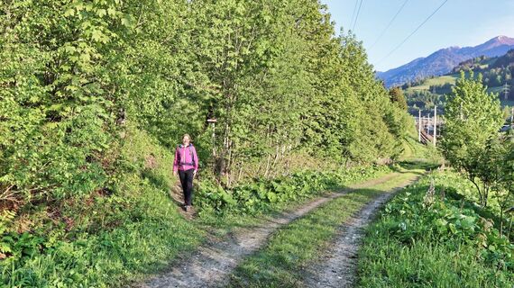 Der Aufstieg durch den Wald beginnt