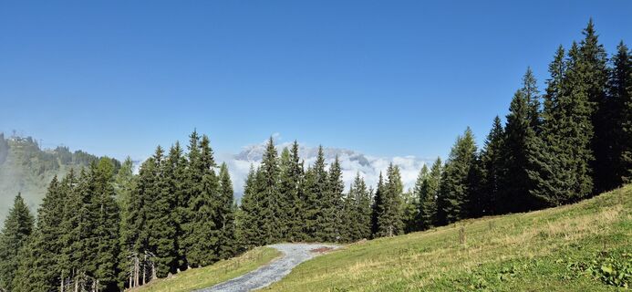 Fotografija s spletne strani Bruunoo na poti