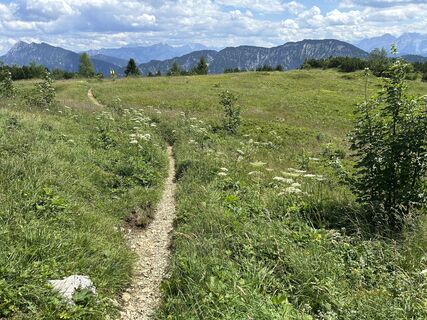 Photo de Asteinle le long du parcours