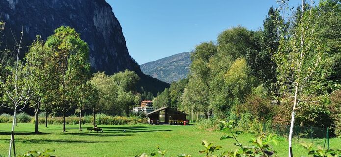 Fotografia z alig na trase