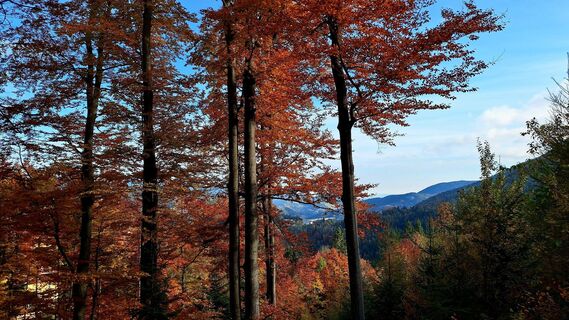 Foto von Susi Puhl entlang der Tour