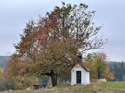 Foto von Norbert Herbig entlang der Tour
