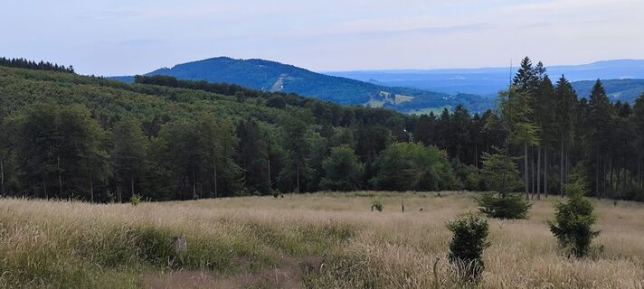 Fotografia z Jan 2505 na trase