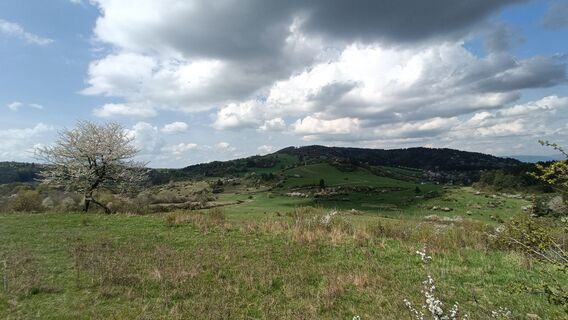 Foto von Michaela Burger entlang der Tour