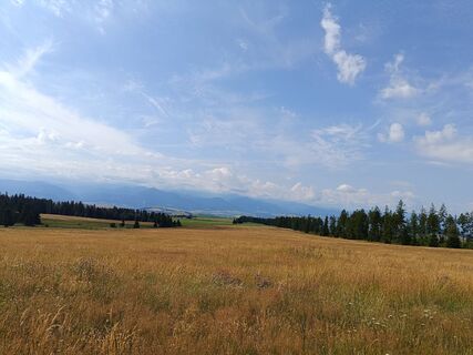 Fotografia z Žaneta Schelling na trase