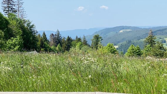 Foto von Jörg Frehoff entlang der Tour