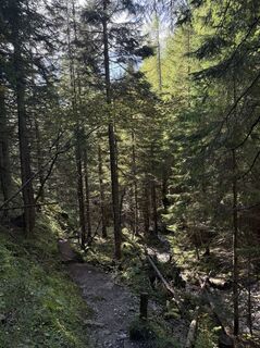 Foto de Tom a lo largo del recorrido