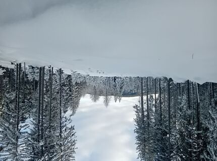 Foto de Mitja a lo largo del recorrido