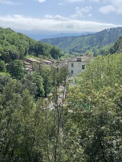 Photo de Ries Bode le long du parcours