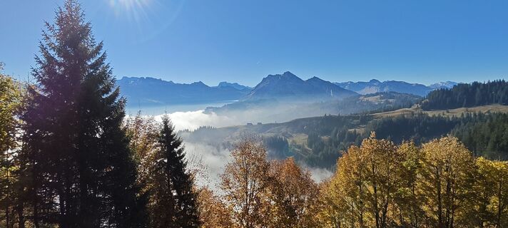 Fotografie z deniuru na trase